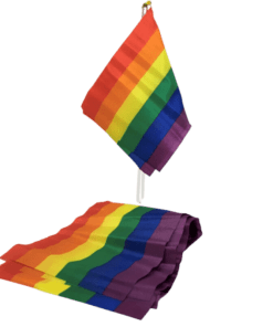 PRIDE - BANDERIN PEQUEÑO BANDERA LGBT