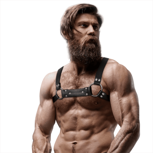 FETISH SUBMISSIVE ATTITUDE - ARNÉS BULLDOG ECOPIEL PECHO HOMBRE TALLA M/L - Imagen 3