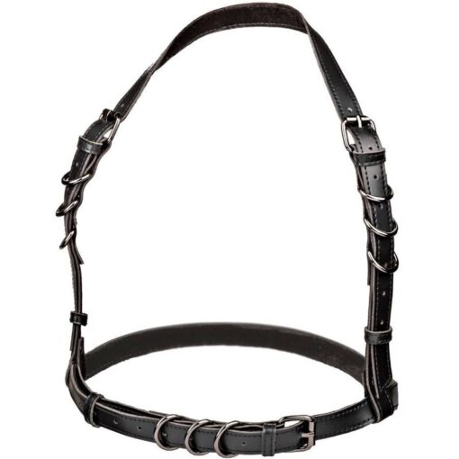 CALEXOTICS - EUPHORIA ARNÉS HATLER CON HEBILLA TALLA GRANDE NEGRO - Imagen 4