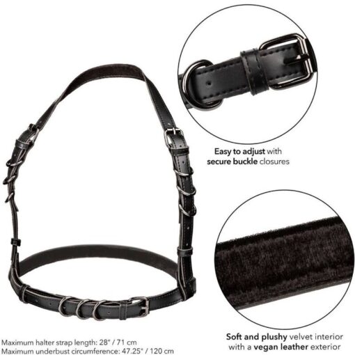 CALEXOTICS - EUPHORIA ARNÉS HATLER CON HEBILLA TALLA GRANDE NEGRO - Imagen 5