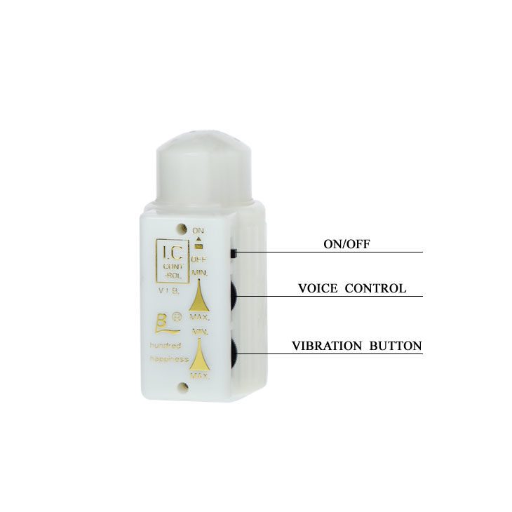 BAILE - MR BIG MASTURBADOR PENE Y ANO REALÍSTICO - Imagen 5