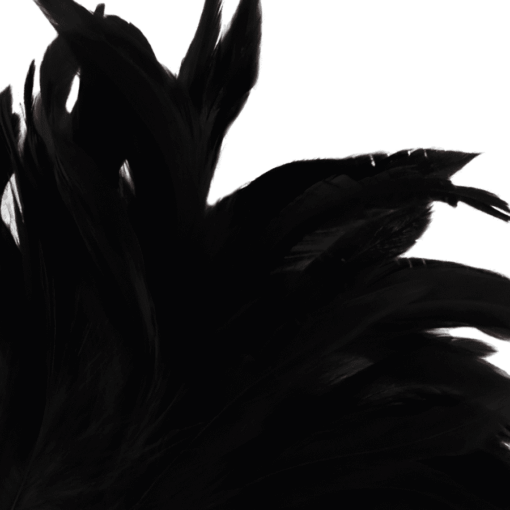 DARKNESS - PLUMA ESTIMULADORA NEGRO LUX - Imagen 3