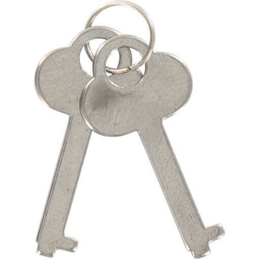 TOYJOY - ESPOSAS DEL AMOR LILA - Imagen 2